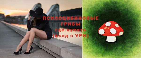эйфоретик Алзамай