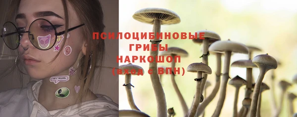 эйфоретик Алзамай