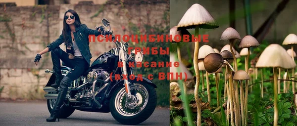 эйфоретик Алзамай
