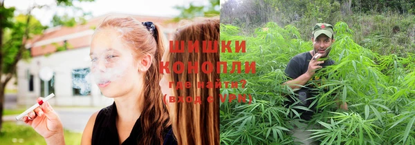 PSILOCYBIN Алексин