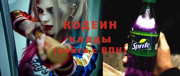 гашик Пересвет