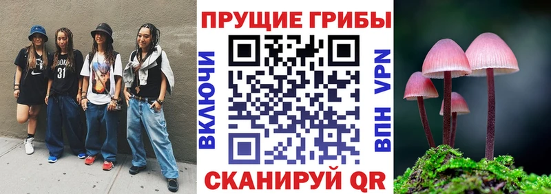 Галлюциногенные грибы Psilocybe  Звенигород 